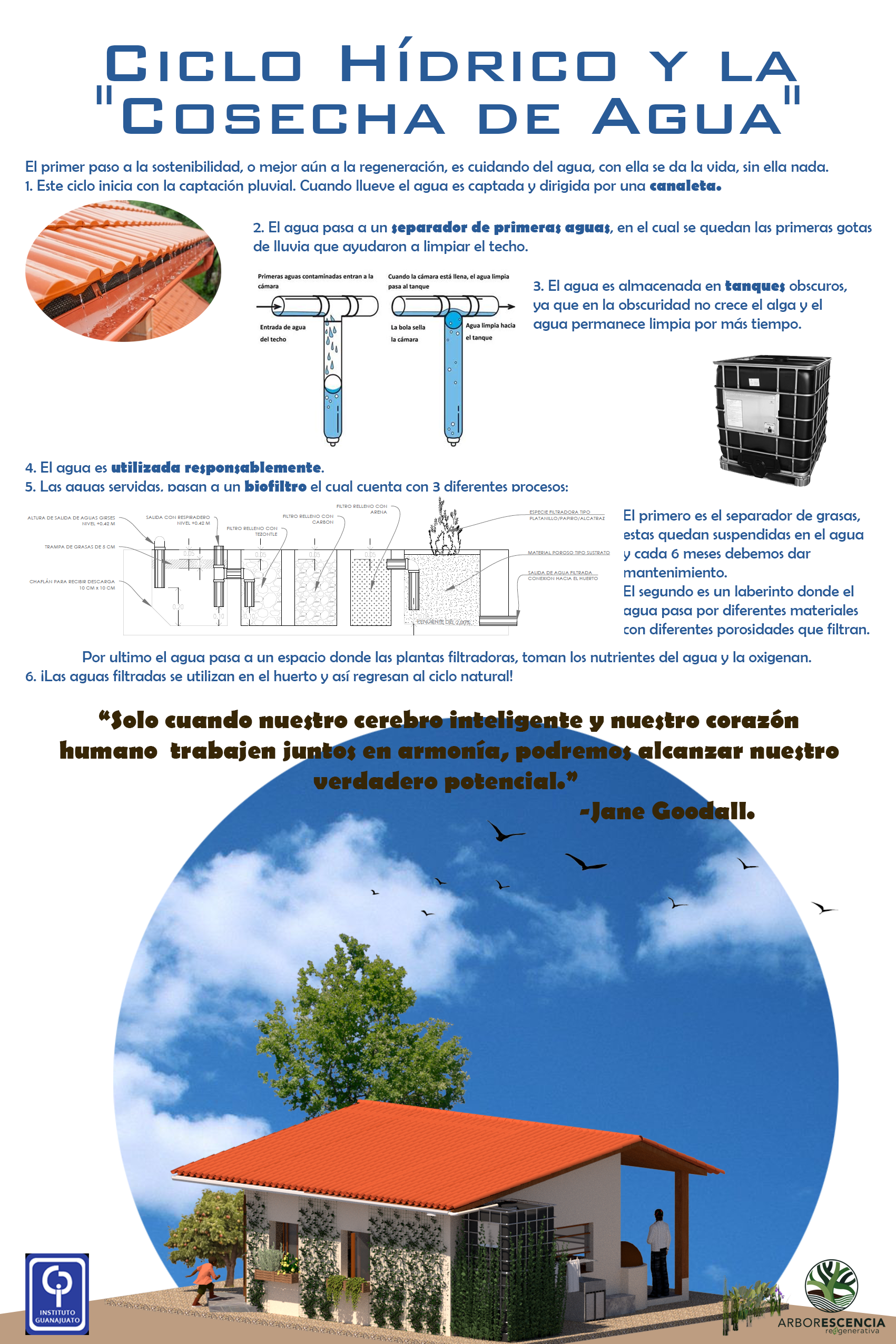 Lámina técnica 3